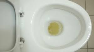 If the chain came loose, it might have gotten. Toilet Bowl Running Water Flush Clean Water Splash Toilet Close Video By C Igorbutovitskiy Gmail Com Stock Footage 237367076