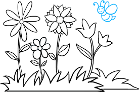 Free drawings of roses in black and white download free clip art. Download How To Draw Flower Garden Drawing Png Image With No Background Pngkey Com