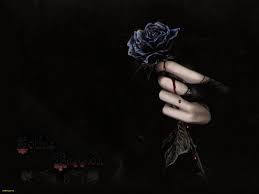 See more ideas about black rose, black aesthetic, dark wallpaper. Black Roses Wallpapers Top Free Black Roses Backgrounds Wallpaperaccess