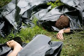 Images of dead bodies, body parts and personal belongings including photos of passports were published on social media before relatives had official confirmation about the fate of their loved ones. Mh17 Horror After Plane Crash The Times Of India