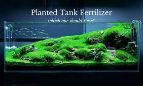 Pin On Expert Aquarist