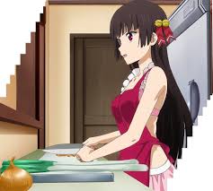 Akiko Himenokouji Apron Bikini Cooking Anime Art Apron