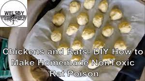 Chickens And Rats Diy How To Make Homemade Nontoxic Rat Poison Homemade Rat Poison Rat Poison How To Make Homemade
