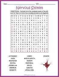 We use custom software inspired by natural patterns. Human Nervous System Word Search Puzzle Worksheet Activity By Puzzles To Print