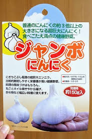 5lの容器で ジャンボニンニク を半水耕栽培 小さめの容器で大きく育つでしょうか 春色ソレイユ