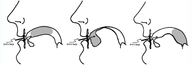 The sounds of the jaw harp come from its reed when it vibrates through its frame which is attached at your slightly opened teeth or lips. How To Play The Jews Harper