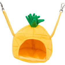 Welcome to poggi's animal house, exotic animal sanctuary and marmoset monkeys for sale. Multipet Medium Yellow Pineapple House Small Animal Hideaway 5 5 L X 5 5 W X 6 H Petco