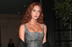 Megan Fox Shares Pics in Sheer Dress But Those Are Not My Nipples