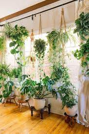 Fiddle Leaf Figs Pothos Snake Plant Or Succulent Whatever Your Green Thumb Prefers There S No Questio Plant Decor Indoor House Plants Indoor Bedroom Plants