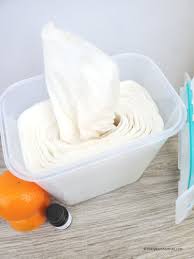 homemade disinfectant wipes everyday
