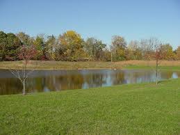 From basic site designs to complex drainage studies, you can effectively model rainfall and runoff from urban and rural watersheds to design detention and retention facilities, outlet structures, and channels. Detention Pond Guidebook Offers Private Owners Advice On Proper Maintenance Msu Extension