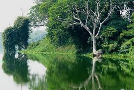 📍 sementra nature resort, gopeng. Pemandangan Indah Gopeng Yang Kreatif Dan Patut Kamu Terjah Tempat Menarik