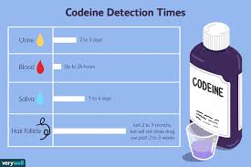Maybe you would like to learn more about one of these? How Long Does Codeine Stay In Your System