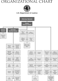 77 Thorough Police Department Hierarchy Chart