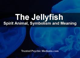 The Jellyfish Spirit Animal A Complete Guide Jellyfish Quotes Spirit Animal Jellyfish
