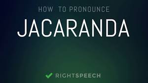 Jacaranda How To Pronounce Jacaranda