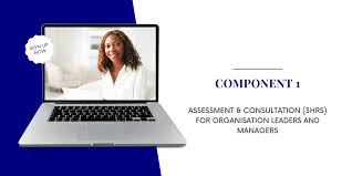 The Safety Box Mentoring Excellence Accelerator Program — The Safety Box®