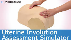 What is the normal fundal height? Item Mw38 Uterine Involution Assessment Simulator Kyoto Kagaku America Inc