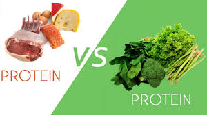Protein Meat Vs Plants Whats The Difference Mark Chen
