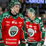 SHL's Financial Upswing Contrasts with Struggles in Other Swedish Elite Sports