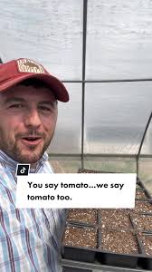 How Long Does It Take to Grow A Garden Tomatoes