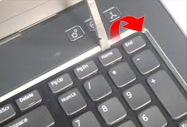 How to turn on touchpad scroll. Arrow Keys Please Help Dell Community