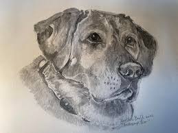 Profile for Heather Ann Breckenridge-Brush