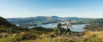 car rental hire in christchurch harewood budget new zealand