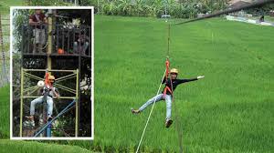 Maybe you would like to learn more about one of these? Outbound Flying Fox Di Bawah Gunung Argopuro Probolinggo