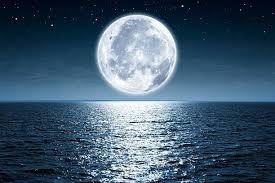 47,000+ Sea Moon Stock Photos, Pictures ...