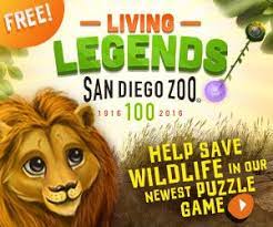 Pin By Jen Nay On Infographic Design San Diego Zoo Safari Park San Diego Zoo Safari Park