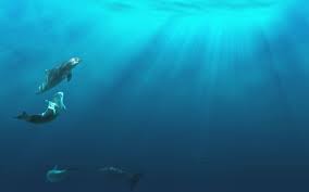 Best Underwater Hd Wallpapers Underwater Background Underwater Wallpaper Underwater Images