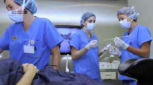 Ivf Process Step By Step In Vitro Fertilisation Embryo Transfer Youtube