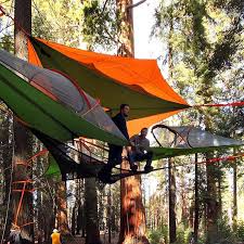 Elevate your camping experience with tentsile tree tents and camp comfortably above any ground conditions. Best Hammock Camping Tents Tree Tent Double Camping Hammock Hammock Tent