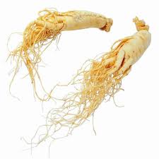 Ginseng tumbuh di wilayah belahan bumi utara terutama di siberia, manchuria, korea, dan amerika serikat. Ginseng Extract At Best Price In India