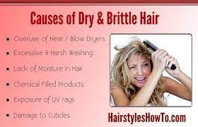 Your scalp can also dry out and cause the same symptoms. Causes Of Dry Brittle Hair Hair And Beauty Tutorials Bloglovin