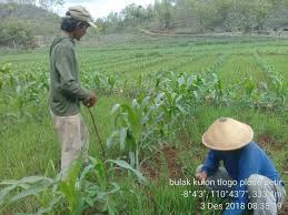 We did not find results for: Desa Petir Darurat Hama Ulat Website Petir