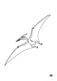 Coloriage De Dinosaures A Imprimer Pterodactyle