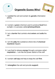 We write essays, research papers, term papers, course works, reviews, theses and more, so our primary mission is to help you succeed academically. Organelle Guess Who Worksheet Teaching Resources