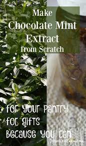 How To Make Chocolate Mint Extract Recipe Mint Extract Mint Chocolate Herbs