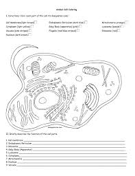 Animal cell color (page 1) animal cell worksheet colouring pages animal cells worksheet, cells worksheet, cell membrane. Plant Cell Coloring