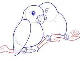 How To Draw Lovebirds Step 8 Love Birds Drawing Bird Drawings Animal Drawings