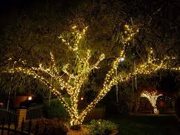 Wedding Tree Lighting Indoor Christmas Lights Retro Christmas Lights Outdoor Tree Lighting
