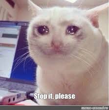 Meme generator, instant notifications, image/video download, achievements and many more! Meme Stop It Please All Templates Meme Arsenal Com