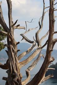 Jul 30, 2021 · the port or anacortes marine terminal is a deep water port between seattle, washington and vancouver, british columbia that services break bulk cargo, high and heavy projects, and moorage services with upland laydown areas. Washington Park Gift Card Anacortes Wa Giftly