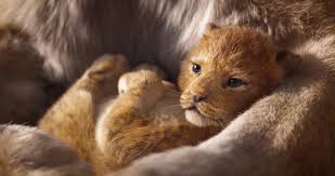 The Lion King 2019 Imdb