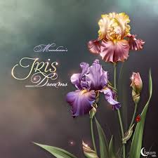 Available For Purchase At Www Renderosity Com Flower Artwork Flower Art Iris Flowers