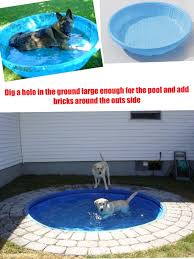 dog pool little kids pool upside it and it s any ones pool dog pool dog backyard backyard dog area