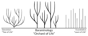 Organizing Creation The Science Of Created Kinds Orchard