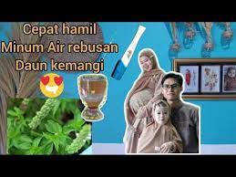 Bagi pasangan suami istri, mendapatkan momongan merupakan dambaan. Cara Cepat Hamil Dengan Rebusan Daun Kemangi Tips Cepat Hamil Ampuh By Dapur Uminya Zhafira Youtube
